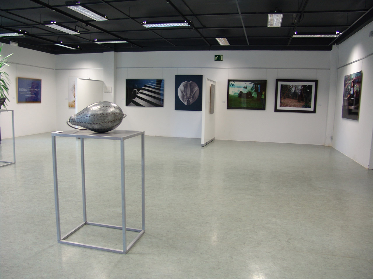 Expo Certame Artes Plásticas Isaac Díaz Pardo 2011