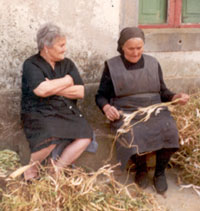 Un de cada cinco fenenses ten máis de 65 anos